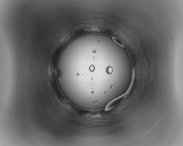 X0000116290747200912071210