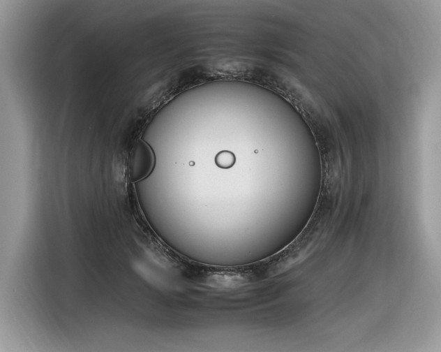 X0000116290749200912071210