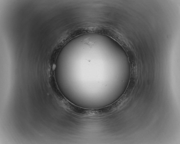 X0000116290750200912071210