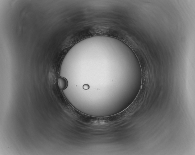 X0000116290751200912071210