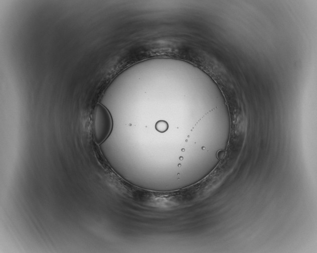 X0000116290753200912071210