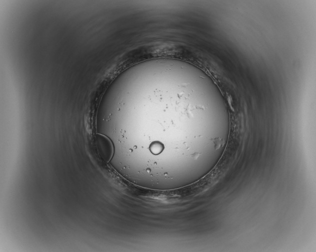 X0000116290755200912071210