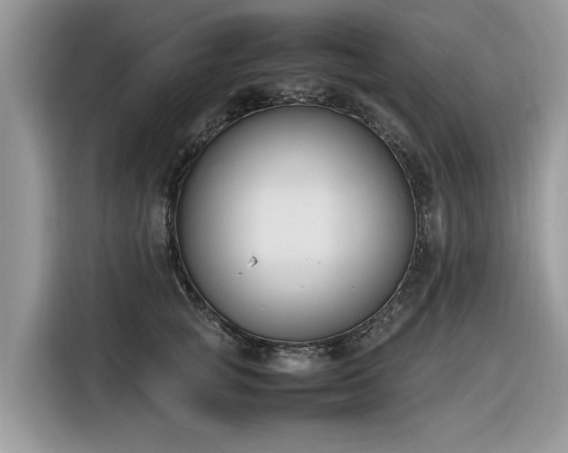 X0000116290757200912071211