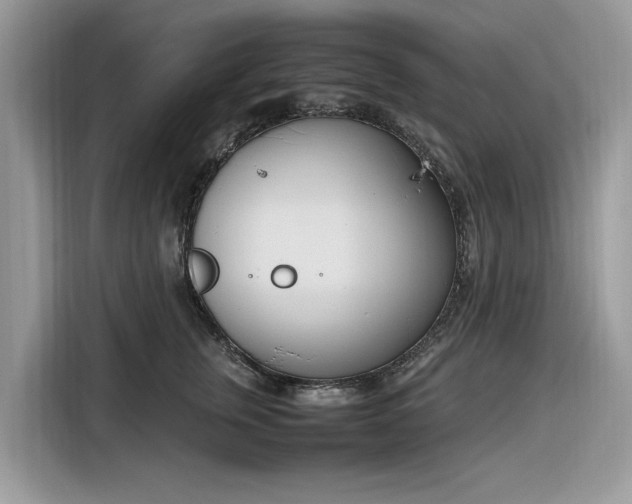 X0000116290759200912071211