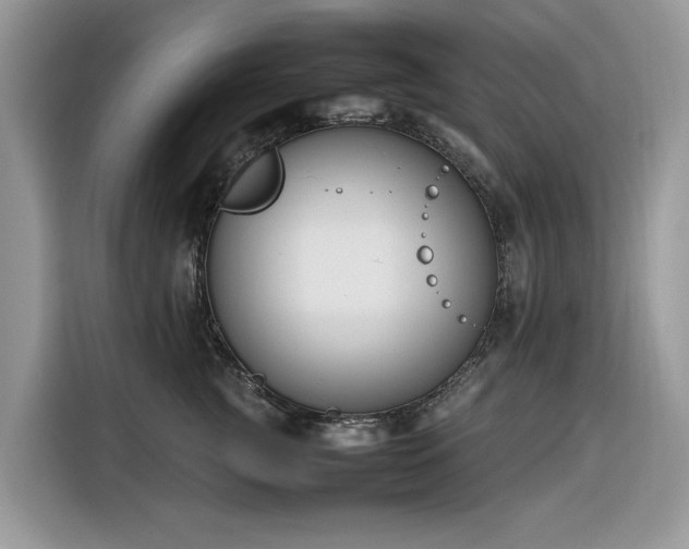 X0000116290761200912071211