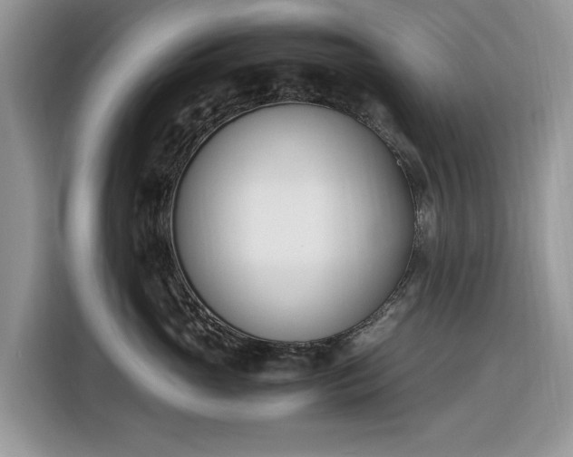 X0000116290765200912071211