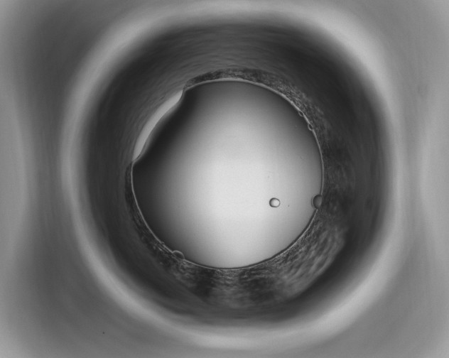 X0000116290766200912071211