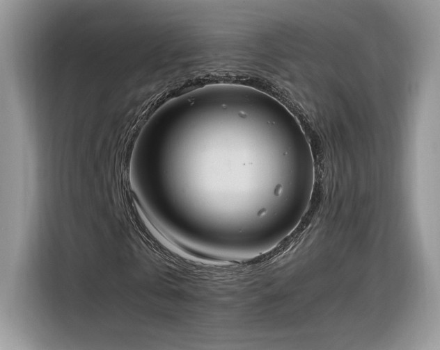 X0000116290769200912071210