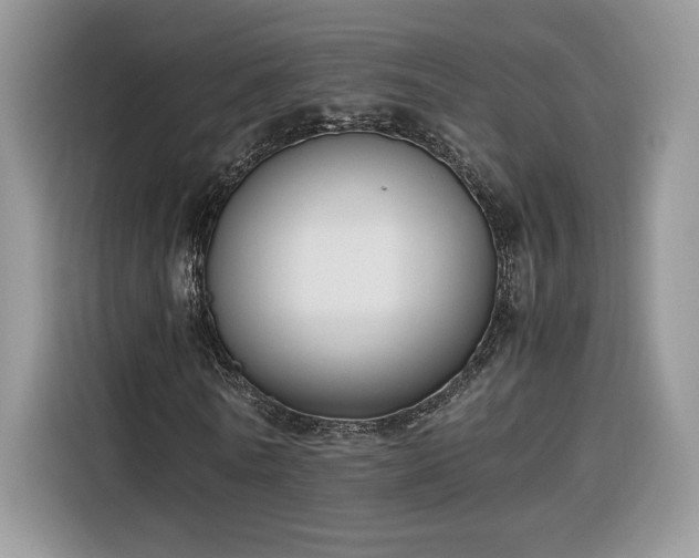 X0000116290770200912071210