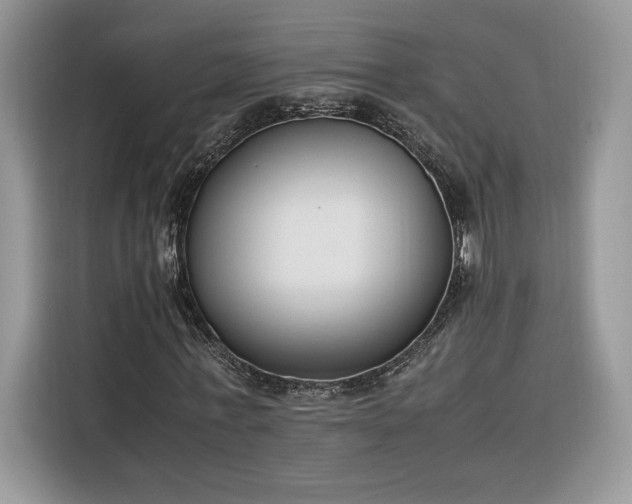 X0000116290771200912071210