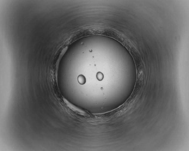 X0000116290772200912071210