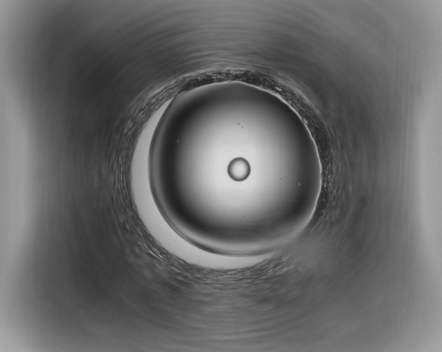 X0000116290773200912071210