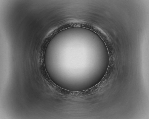 X0000116290775200912071210