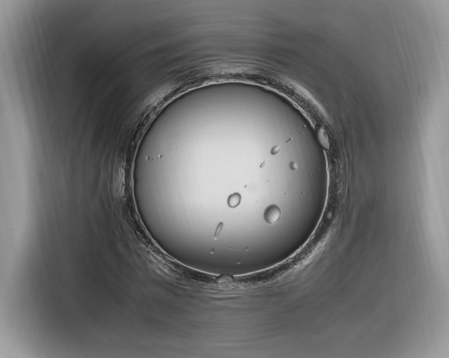 X0000116290777200912071210