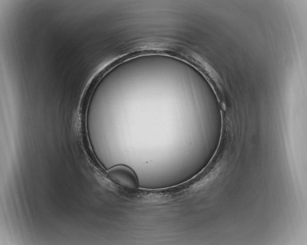 X0000116290779200912071210