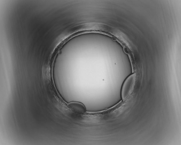 X0000116290781200912071210