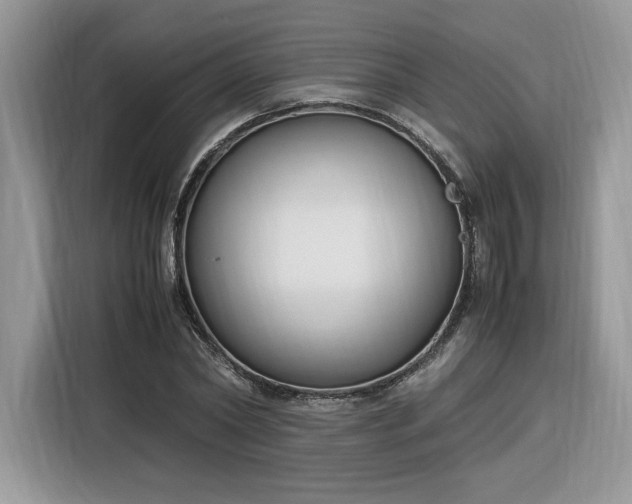 X0000116290782200912071210