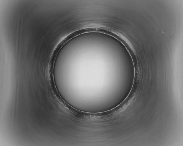 X0000116290783200912071210