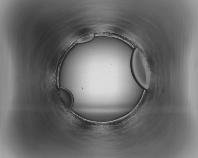 X0000116290785200912071210