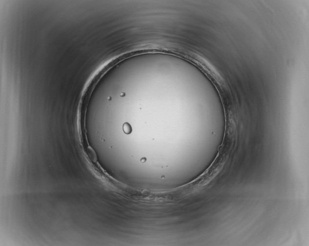 X0000116290788200912071210