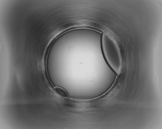 X0000116290789200912071210