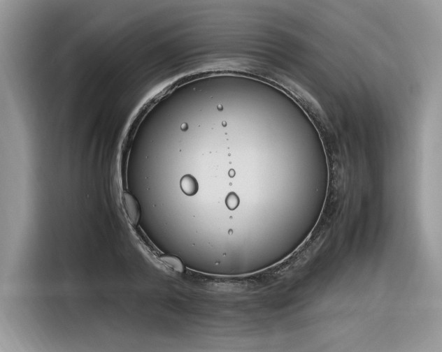 X0000116290792200912071210