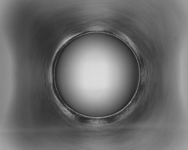 X0000116290795200912071210