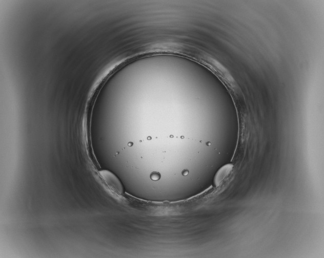 X0000116290796200912071210