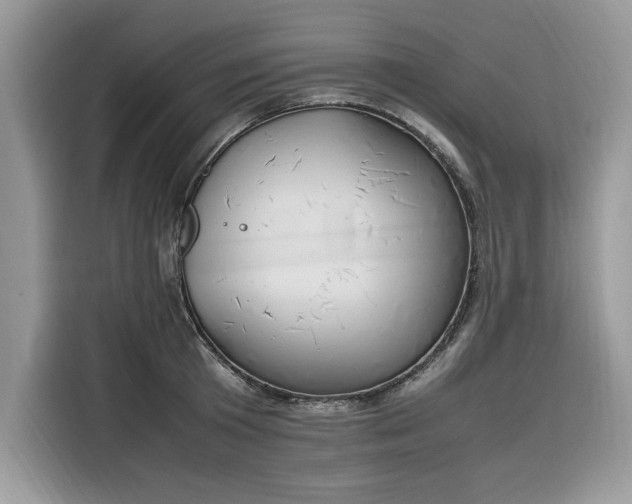 X0000116290801200912071210