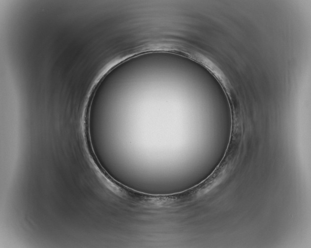 X0000116290803200912071210