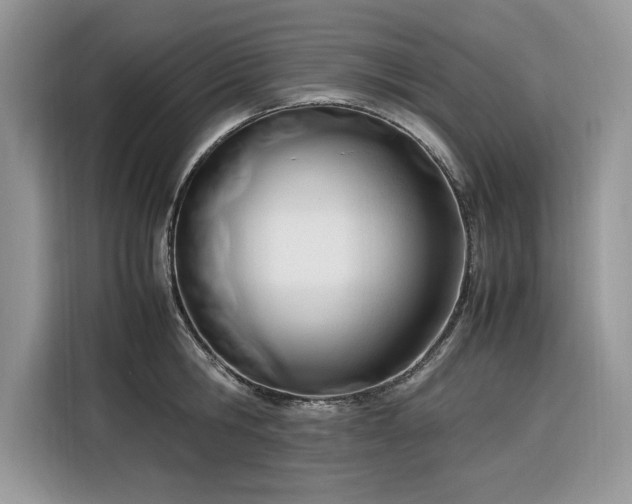 X0000116290806200912071210