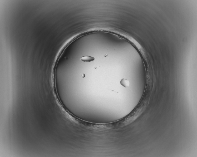 X0000116290807200912071210