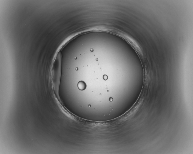 X0000116290808200912071210