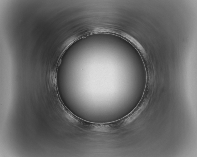 X0000116290809200912071209