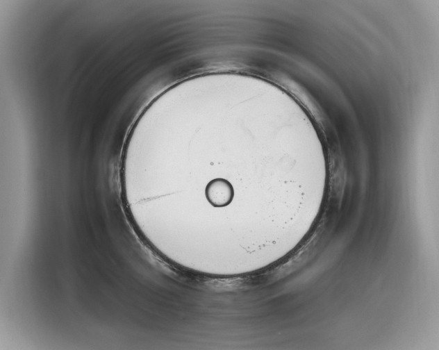 X0000116290810200912071209