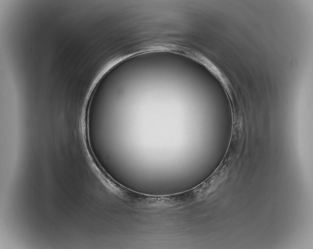 X0000116290811200912071209