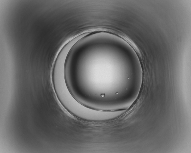 X0000116290813200912071209