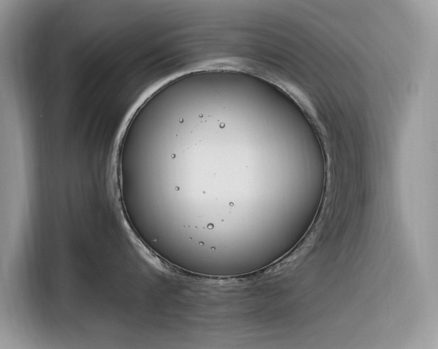 X0000116290816200912071209