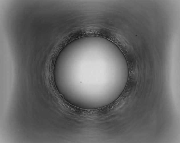 X0000116290817200912071209