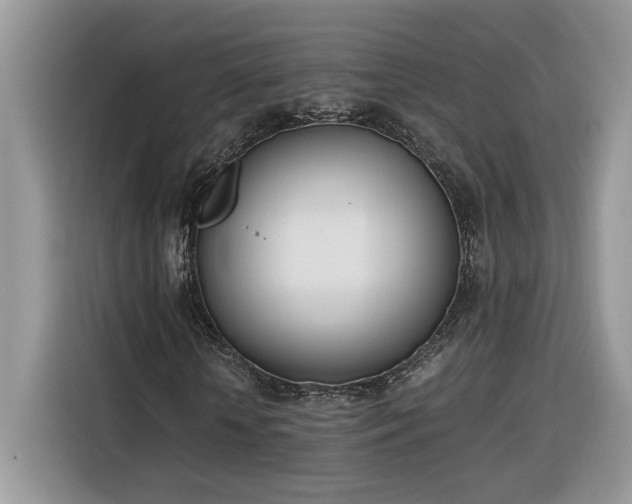 X0000116290818200912071209