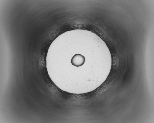 X0000116290820200912071209