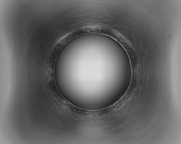 X0000116290822200912071209