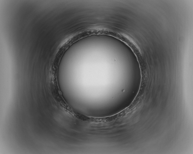 X0000116290823200912071209