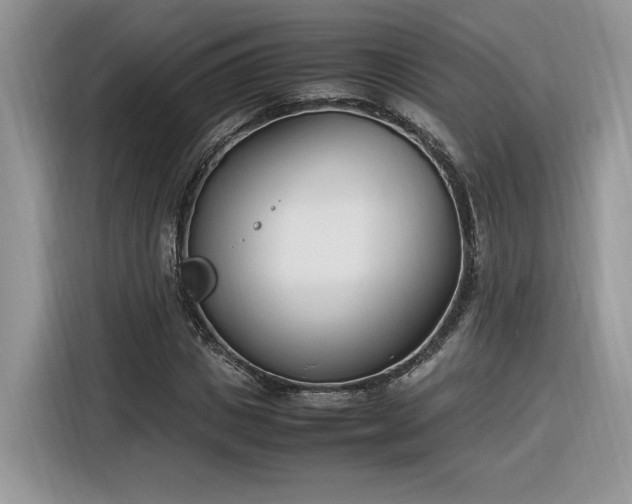 X0000116290825200912071209