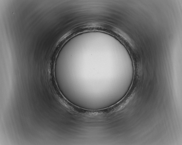 X0000116290826200912071209