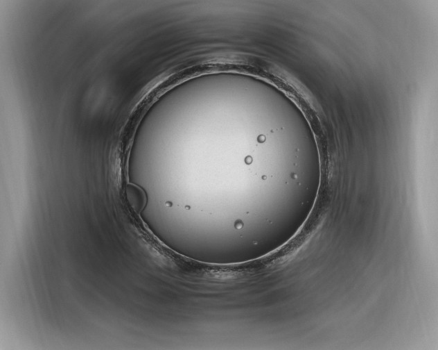 X0000116290829200912071209