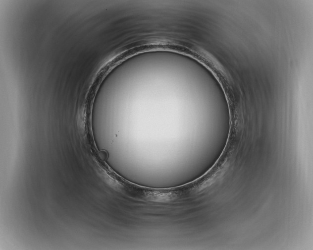 X0000116290831200912071209