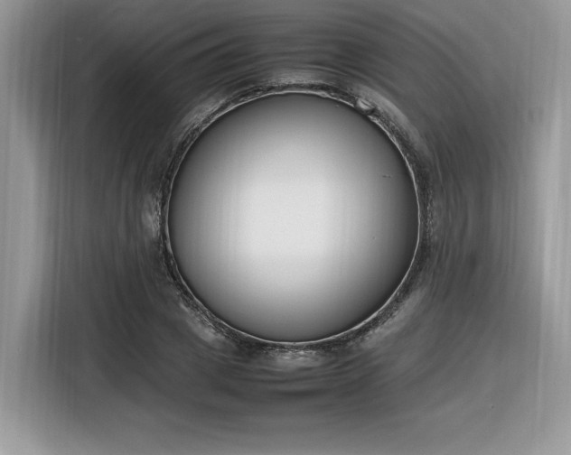 X0000116290833200912071209