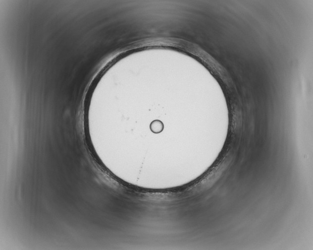 X0000116290836200912071209