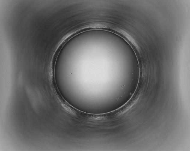 X0000116290837200912071209